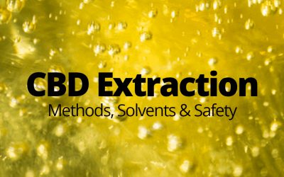 CBD Extraction Methods (Updated For 2023)