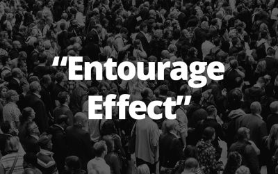 The CBD “Entourage Effect”