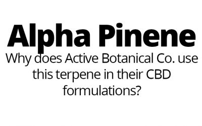 Alpha Pinene – Why does Active Botanical Co. use this terpene?