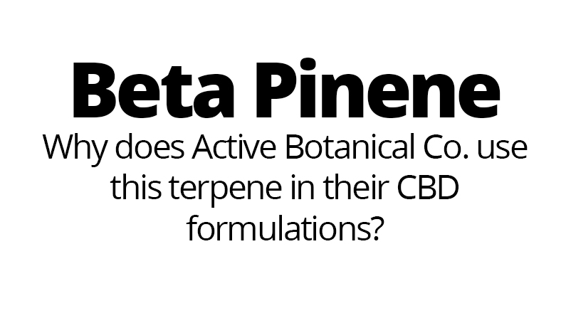 Beta Pinene – Why does Active Botanical Co. use this terpene?